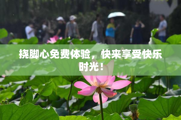 挠脚心免费体验，快来享受快乐时光！