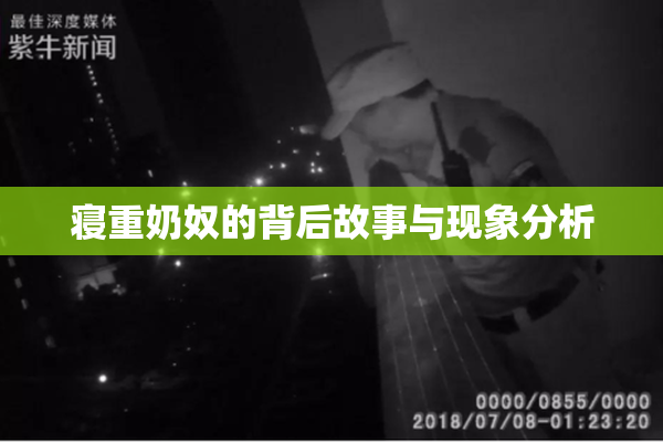 寝重奶奴的背后故事与现象分析