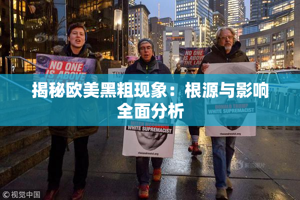 揭秘欧美黑粗现象：根源与影响全面分析