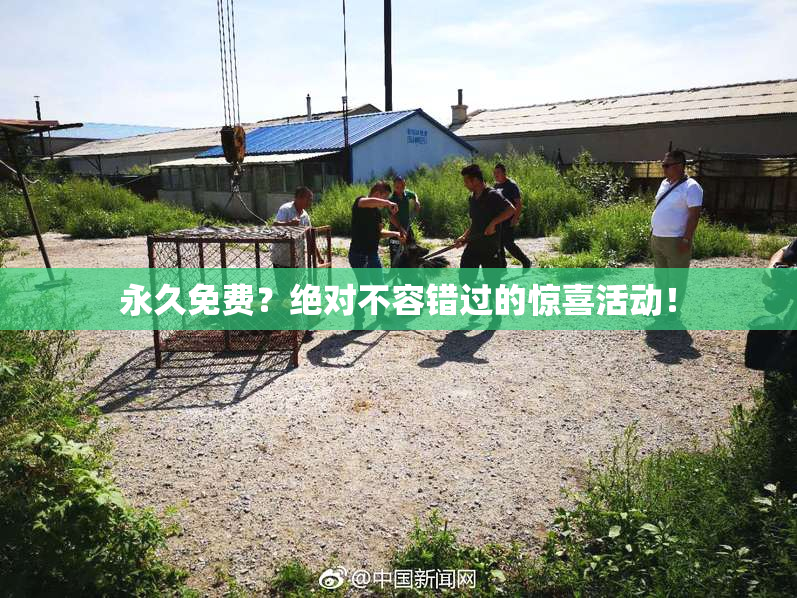 永久免费？绝对不容错过的惊喜活动！