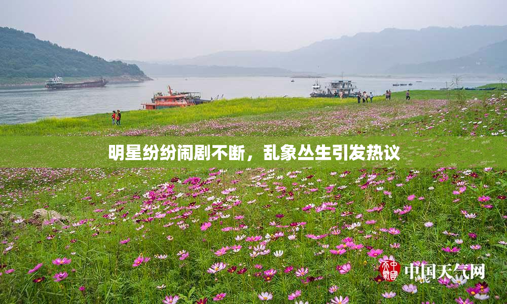 明星纷纷闹剧不断，乱象丛生引发热议