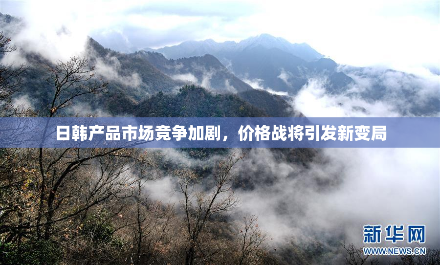 日韩产品市场竞争加剧，价格战将引发新变局