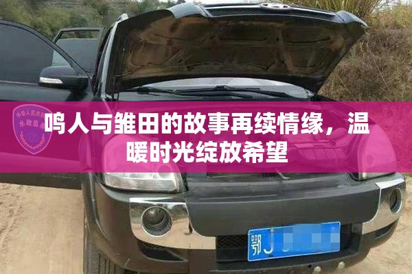 鸣人与雏田的故事再续情缘，温暖时光绽放希望
