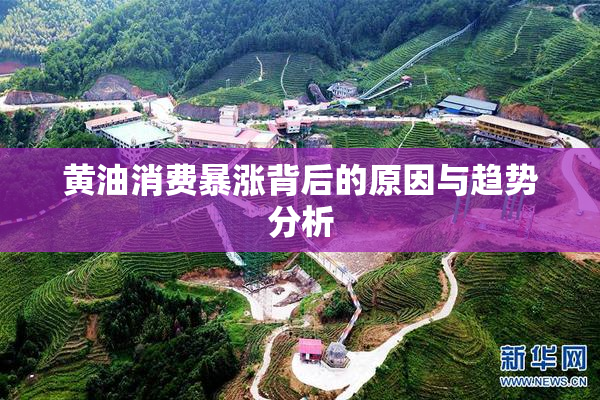 黄油消费暴涨背后的原因与趋势分析