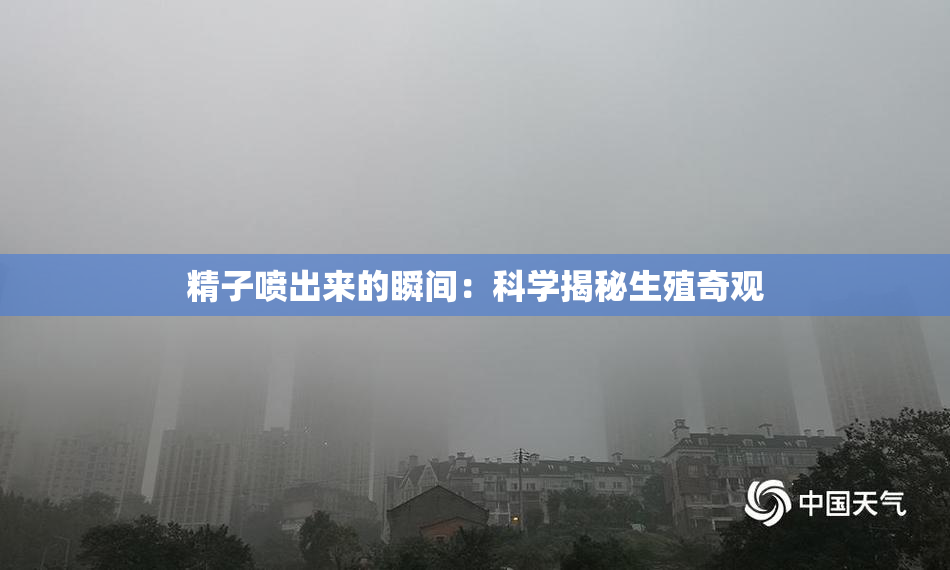 精子喷出来的瞬间：科学揭秘生殖奇观