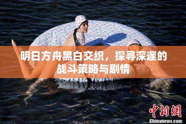 明日方舟黑白交织，探寻深邃的战斗策略与剧情
