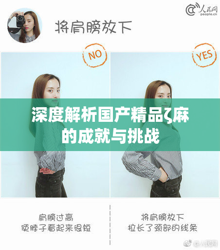 深度解析国产精品ζ麻的成就与挑战