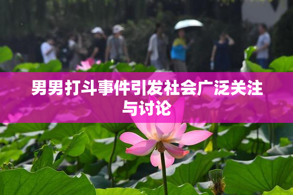 男男打斗事件引发社会广泛关注与讨论