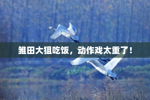 雏田大狙吃饭，动作戏太重了！