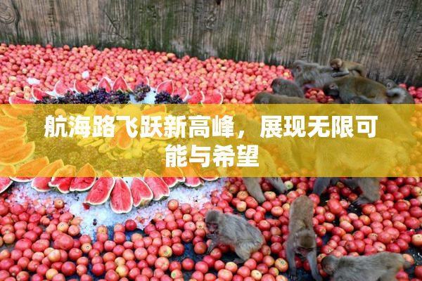 航海路飞跃新高峰，展现无限可能与希望