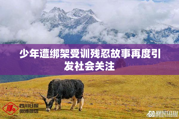 少年遭绑架受训残忍故事再度引发社会关注