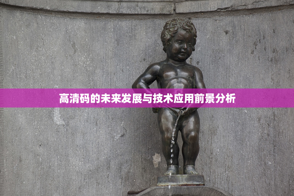 高清码的未来发展与技术应用前景分析