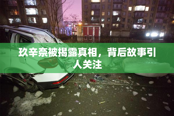 玖辛奈被揭露真相，背后故事引人关注