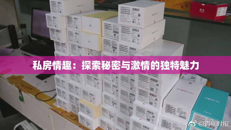 私房情趣：探索秘密与激情的独特魅力