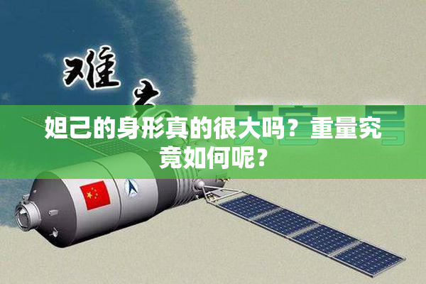 妲己的身形真的很大吗？重量究竟如何呢？