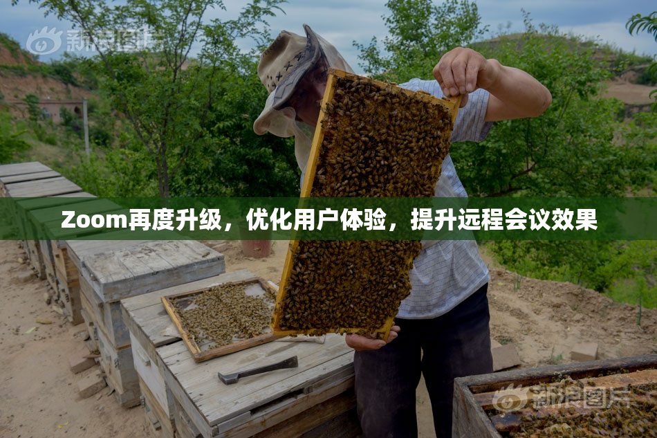 Zoom再度升级，优化用户体验，提升远程会议效果