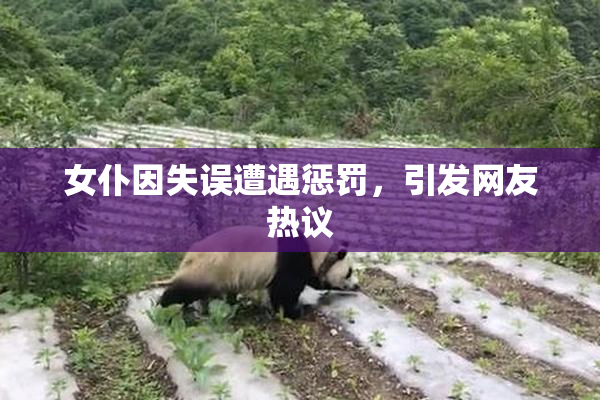 女仆因失误遭遇惩罚，引发网友热议