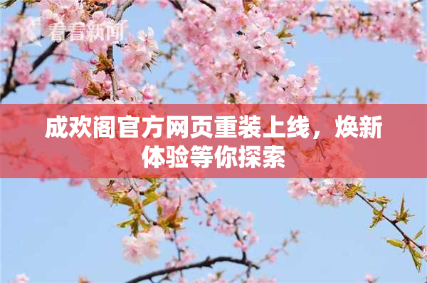 成欢阁官方网页重装上线，焕新体验等你探索