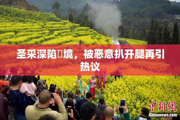 圣采深陷囧境，被恶意扒开腿再引热议