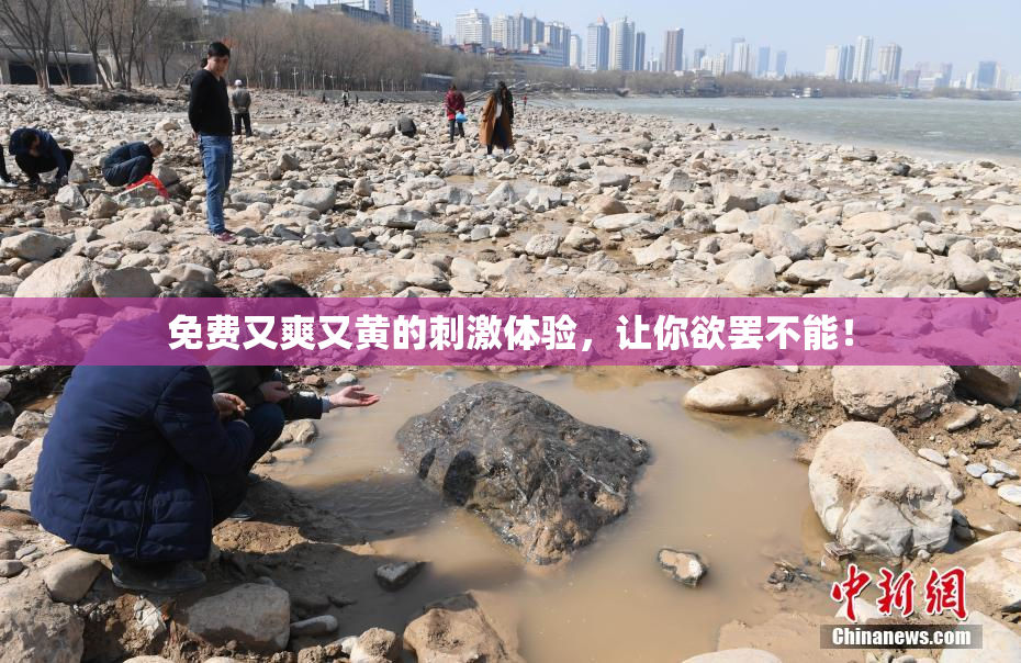免费又爽又黄的刺激体验，让你欲罢不能！