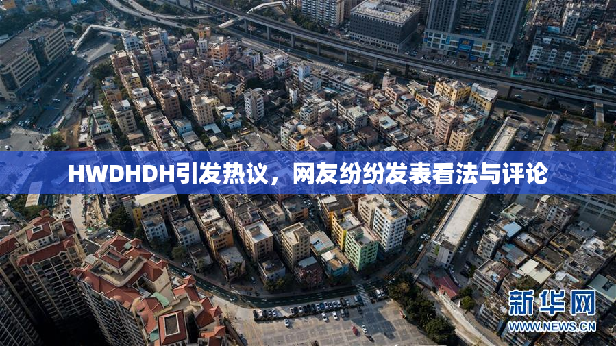 HWDHDH引发热议，网友纷纷发表看法与评论