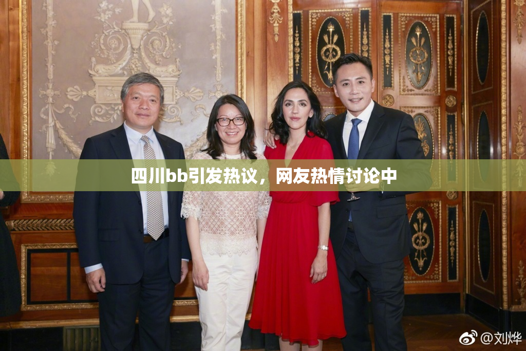 四川bb引发热议，网友热情讨论中