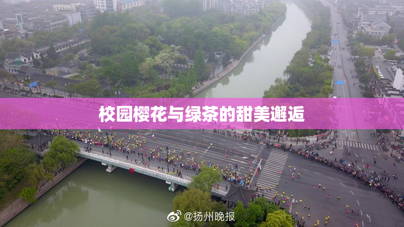 校园樱花与绿茶的甜美邂逅