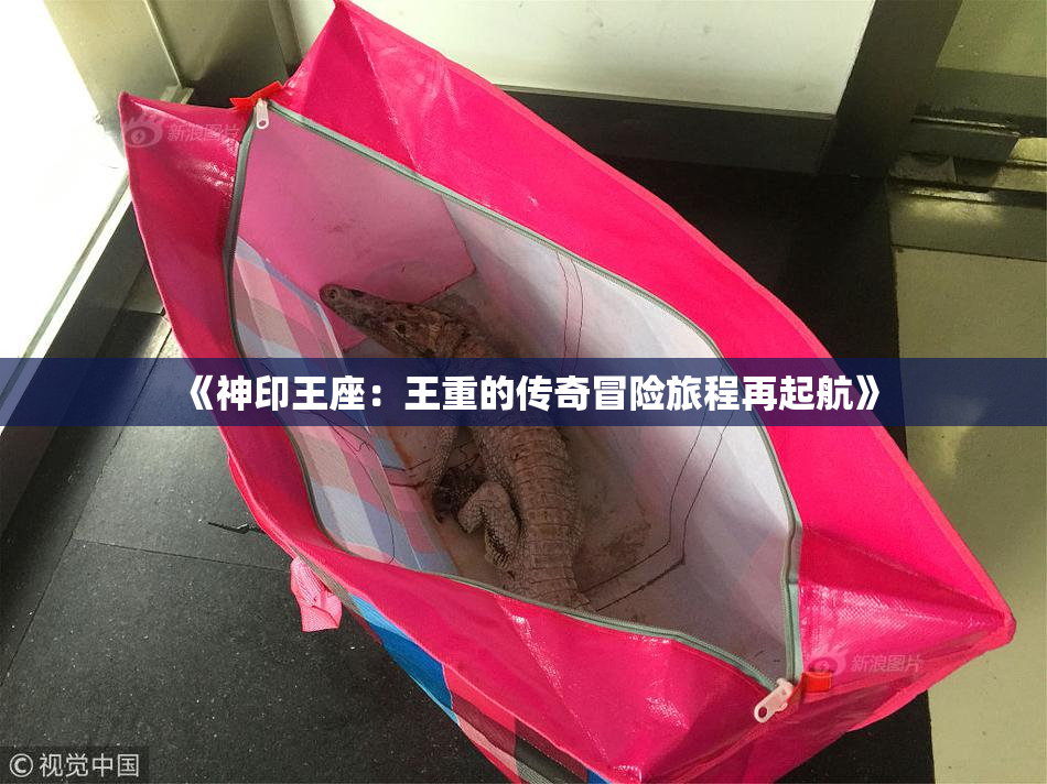 《神印王座：王重的传奇冒险旅程再起航》