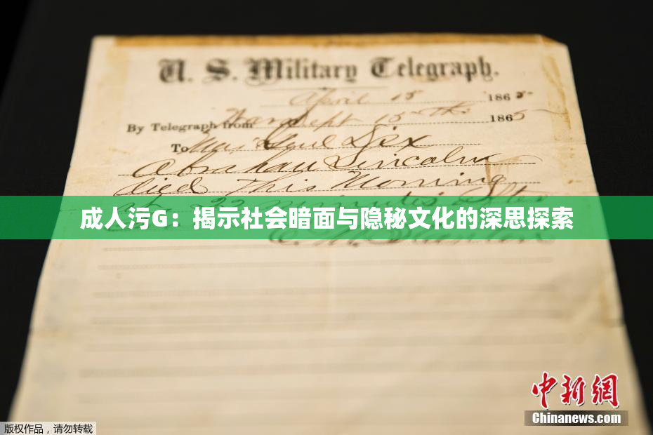 成人污G：揭示社会暗面与隐秘文化的深思探索