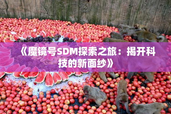 《魔镜号SDM探索之旅：揭开科技的新面纱》