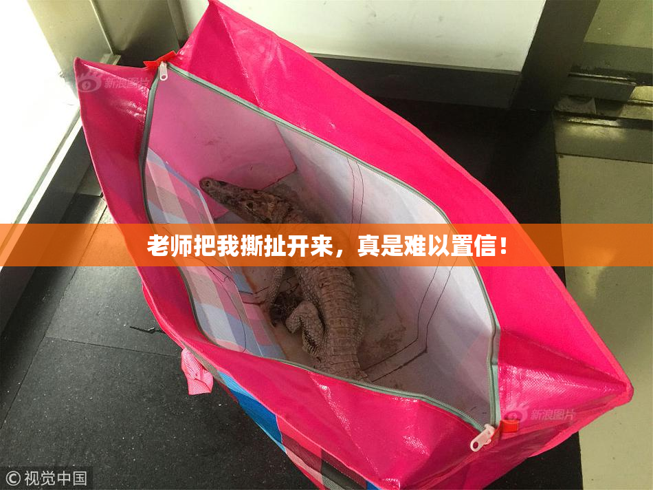 老师把我撕扯开来，真是难以置信！