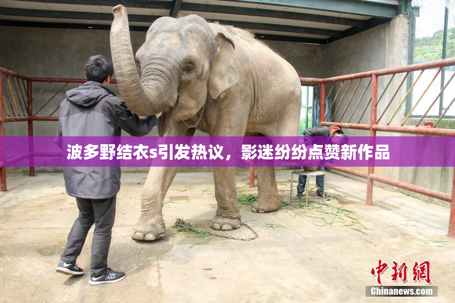 波多野结衣s引发热议，影迷纷纷点赞新作品
