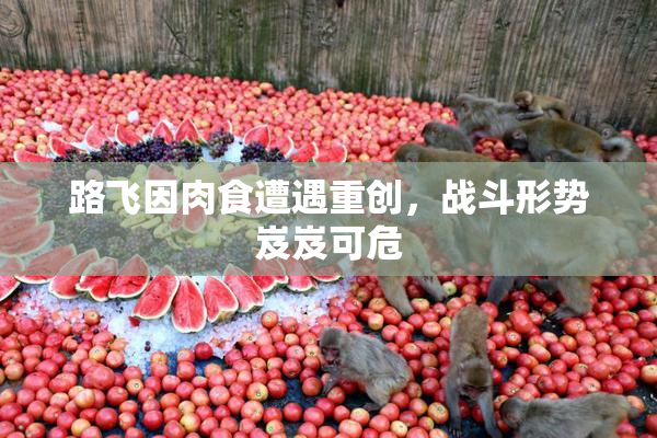路飞因肉食遭遇重创，战斗形势岌岌可危