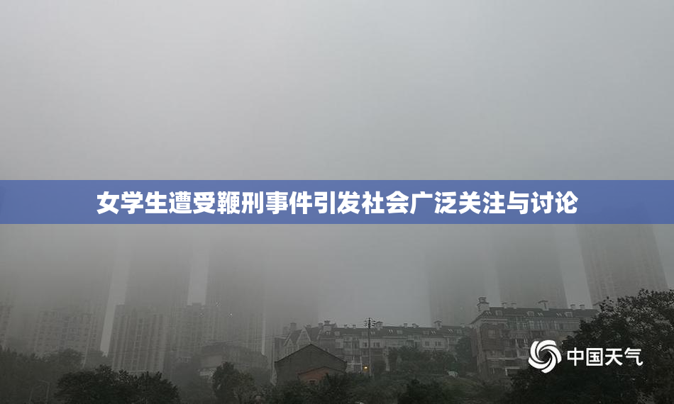 女学生遭受鞭刑事件引发社会广泛关注与讨论