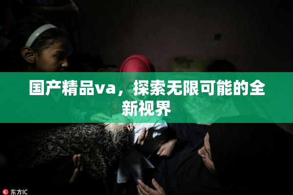 国产精品va，探索无限可能的全新视界