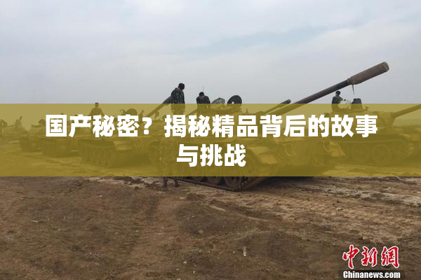 国产秘密？揭秘精品背后的故事与挑战