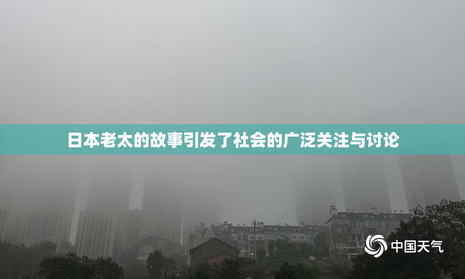 日本老太的故事引发了社会的广泛关注与讨论