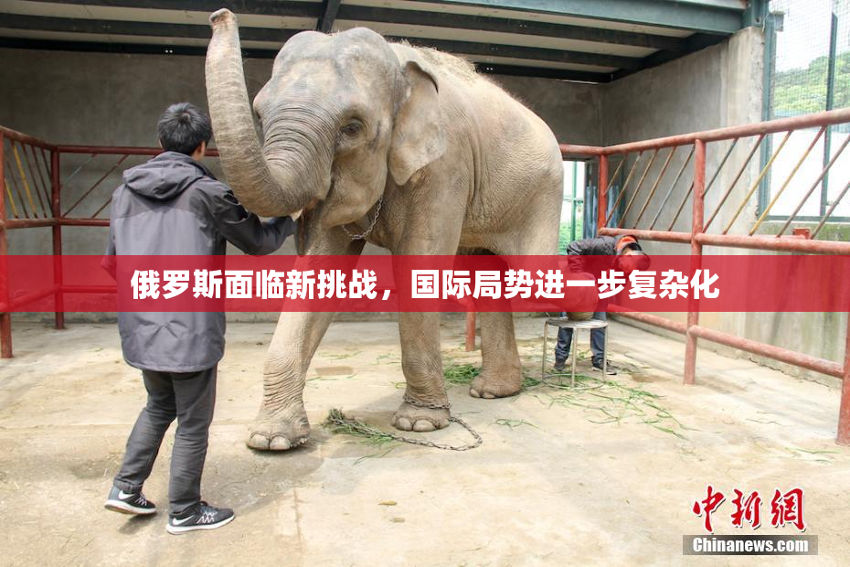 俄罗斯面临新挑战，国际局势进一步复杂化