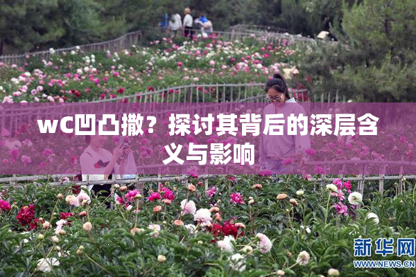 wC凹凸撒？探讨其背后的深层含义与影响