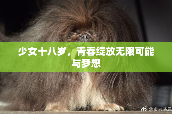 少女十八岁，青春绽放无限可能与梦想