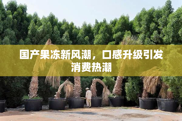 国产果冻新风潮，口感升级引发消费热潮