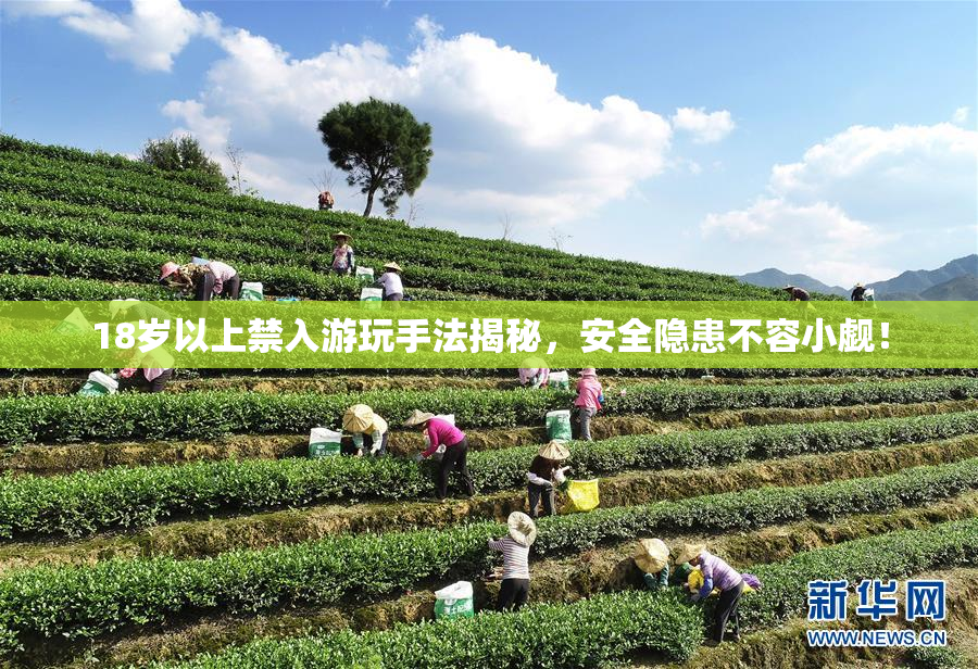 18岁以上禁入游玩手法揭秘，安全隐患不容小觑！
