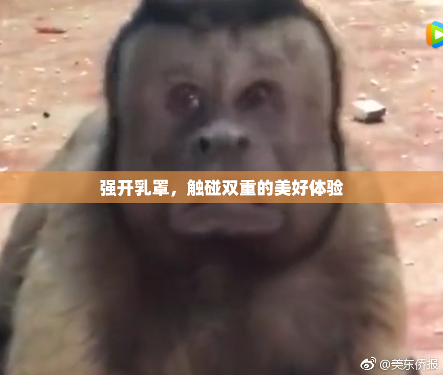强开乳罩，触碰双重的美好体验