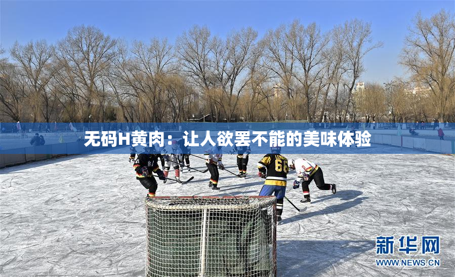 无码H黄肉：让人欲罢不能的美味体验