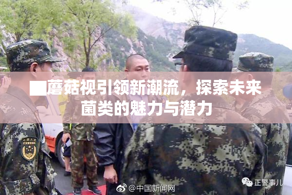 ▇蘑菇视引领新潮流，探索未来菌类的魅力与潜力