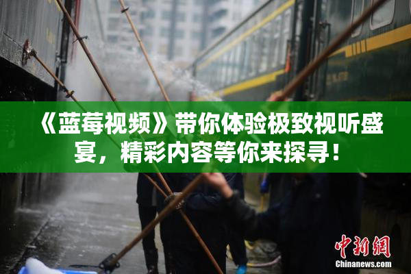 《蓝莓视频》带你体验极致视听盛宴，精彩内容等你来探寻！