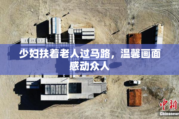 少妇扶着老人过马路，温馨画面感动众人