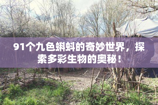 91个九色蝌蚪的奇妙世界，探索多彩生物的奥秘！