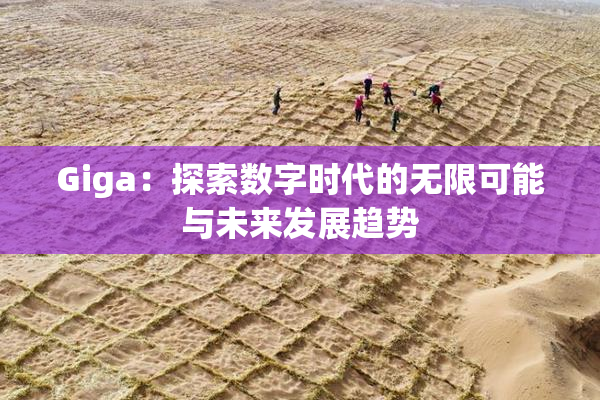 Giga：探索数字时代的无限可能与未来发展趋势