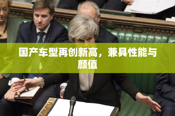 国产车型再创新高，兼具性能与颜值